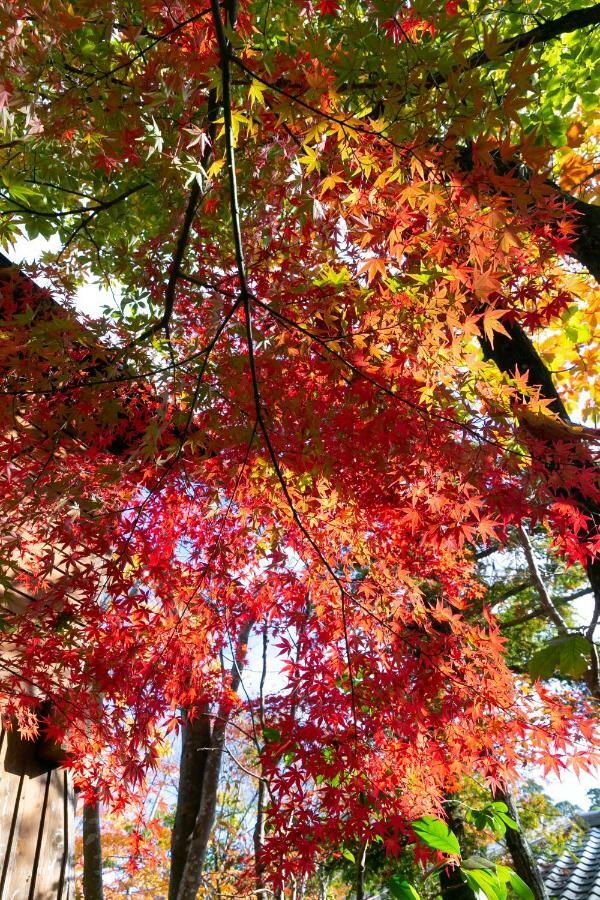 寛ぎの宿 なな川 由布市 エクステリア 写真