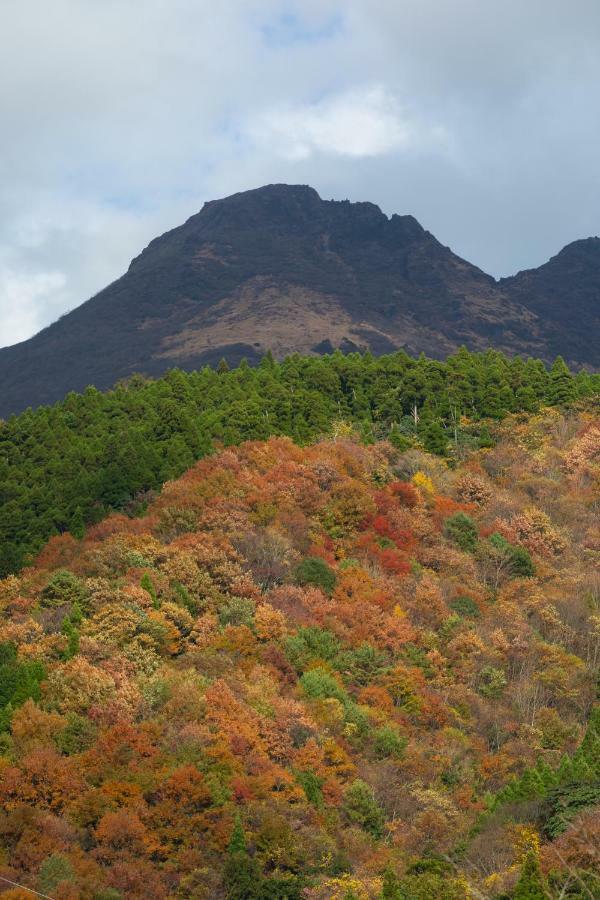 寛ぎの宿 なな川 由布市 エクステリア 写真